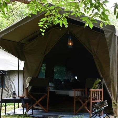 Explorer By Eco Team - Wasgamuwa National Park Esterno foto