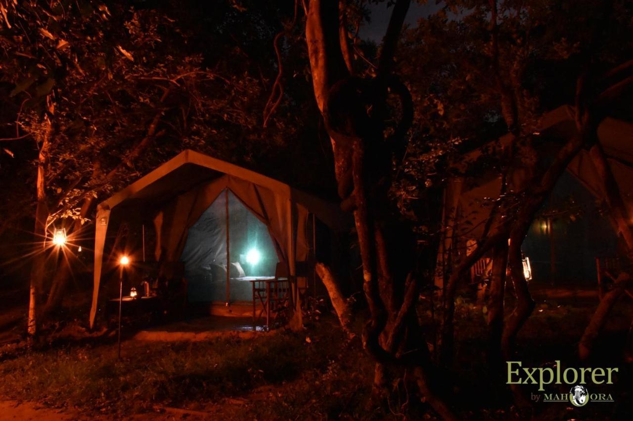 Explorer By Eco Team - Wasgamuwa National Park Esterno foto