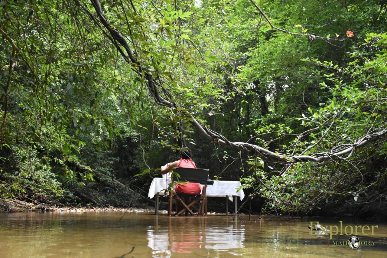 Explorer By Eco Team - Wasgamuwa National Park Esterno foto