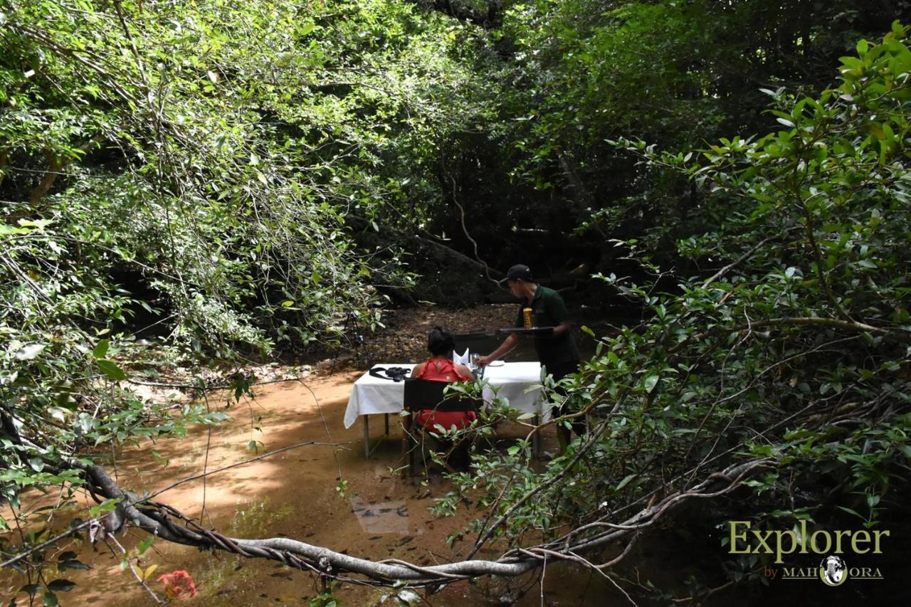 Explorer By Eco Team - Wasgamuwa National Park Esterno foto