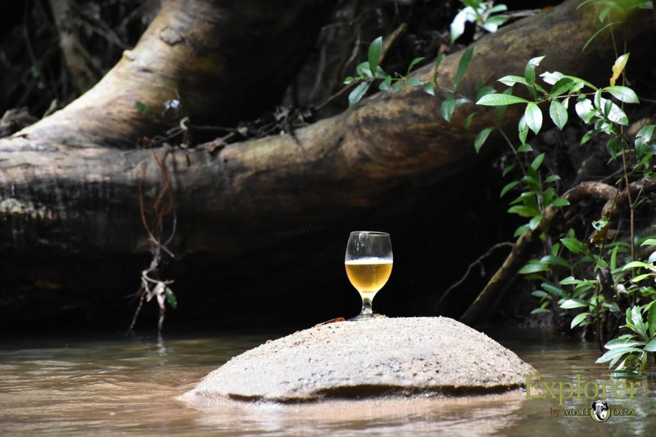 Explorer By Eco Team - Wasgamuwa National Park Esterno foto