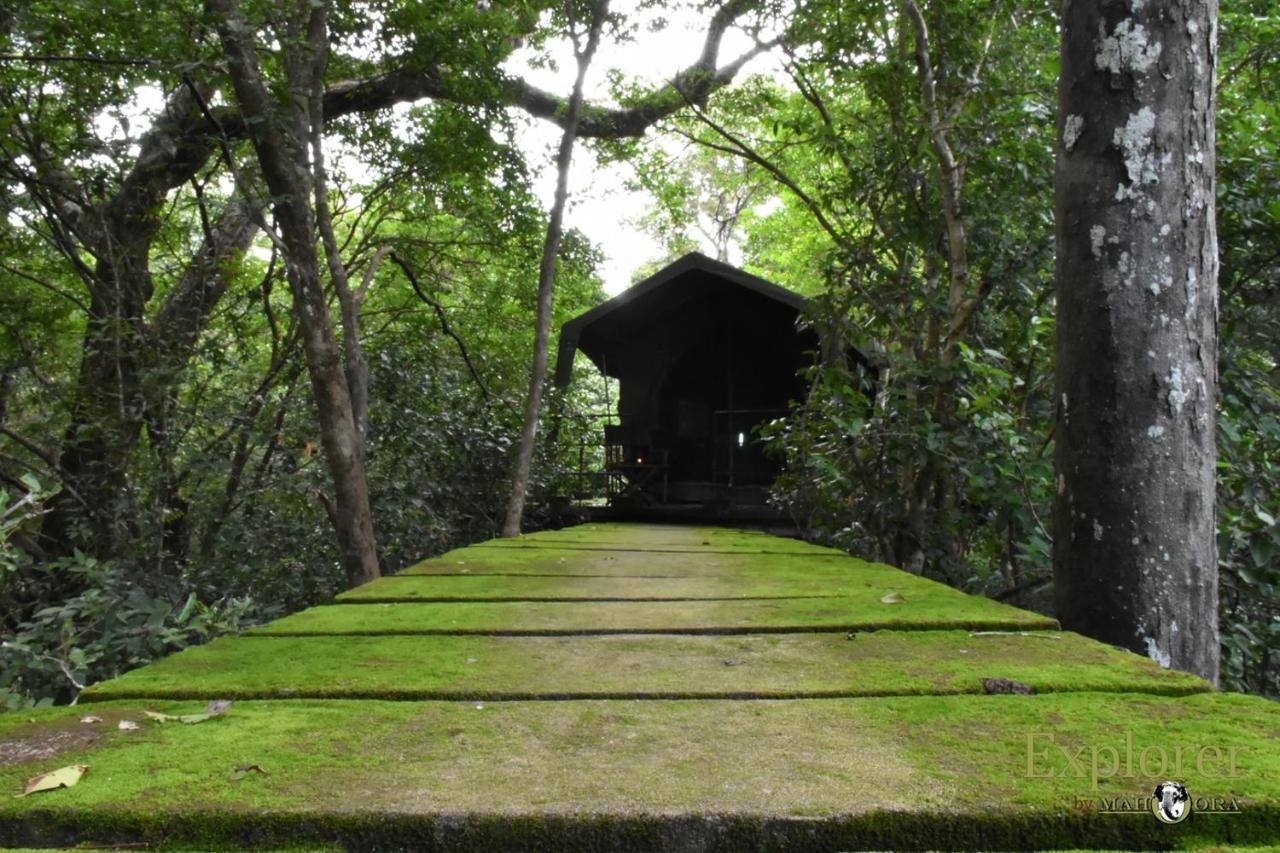 Explorer By Eco Team - Wasgamuwa National Park Esterno foto