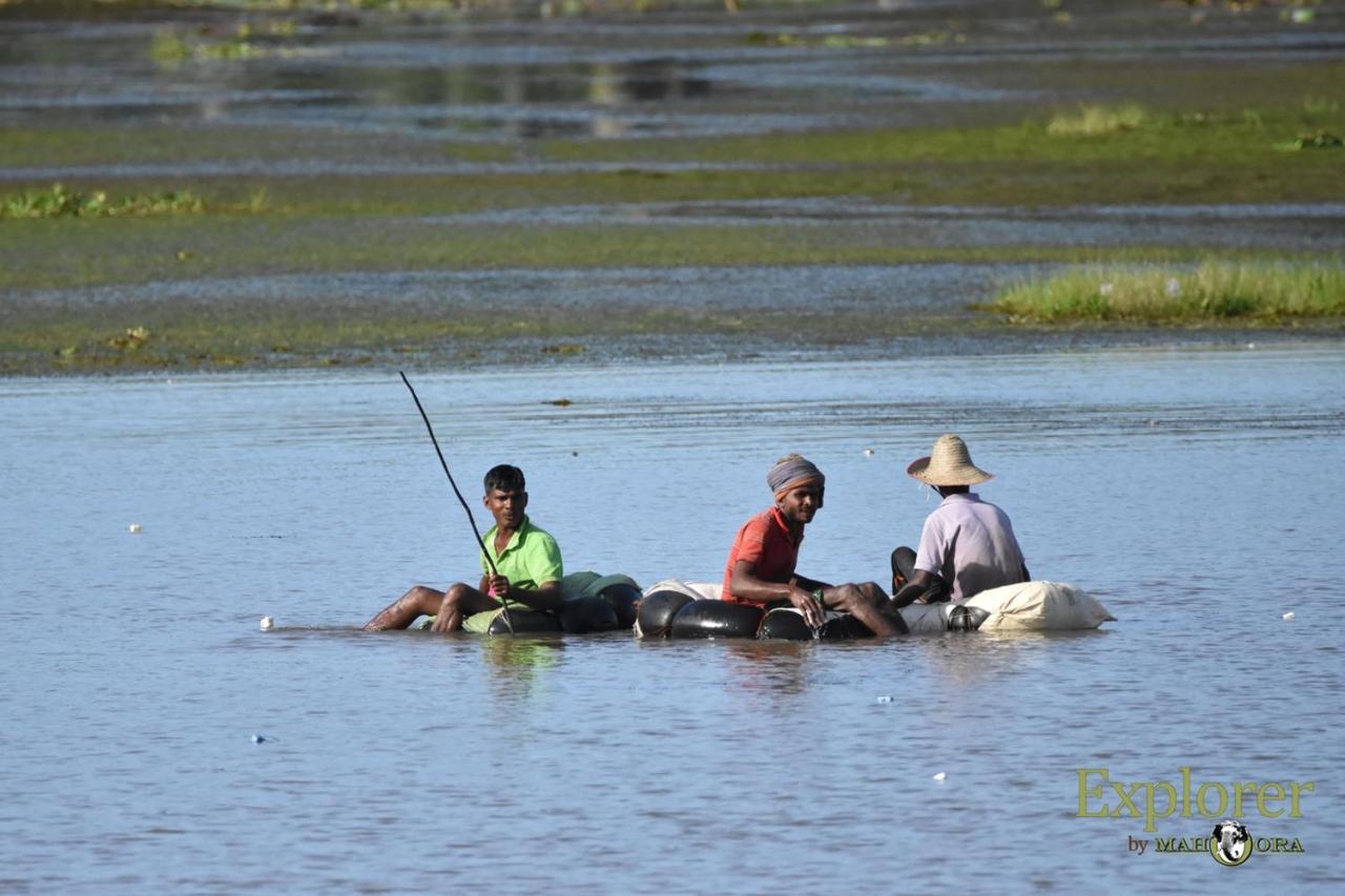 Explorer By Eco Team - Wasgamuwa National Park Esterno foto
