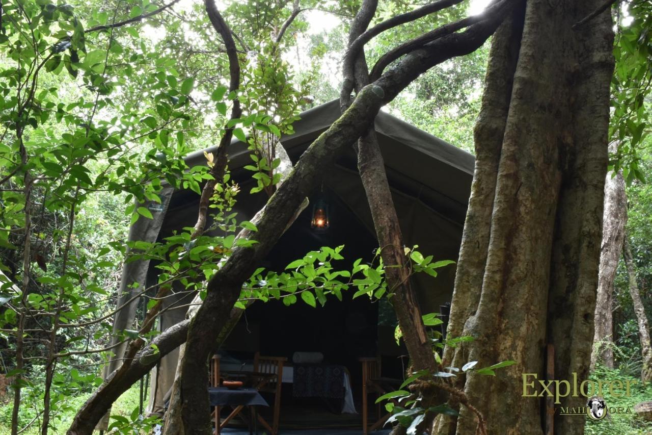 Explorer By Eco Team - Wasgamuwa National Park Esterno foto
