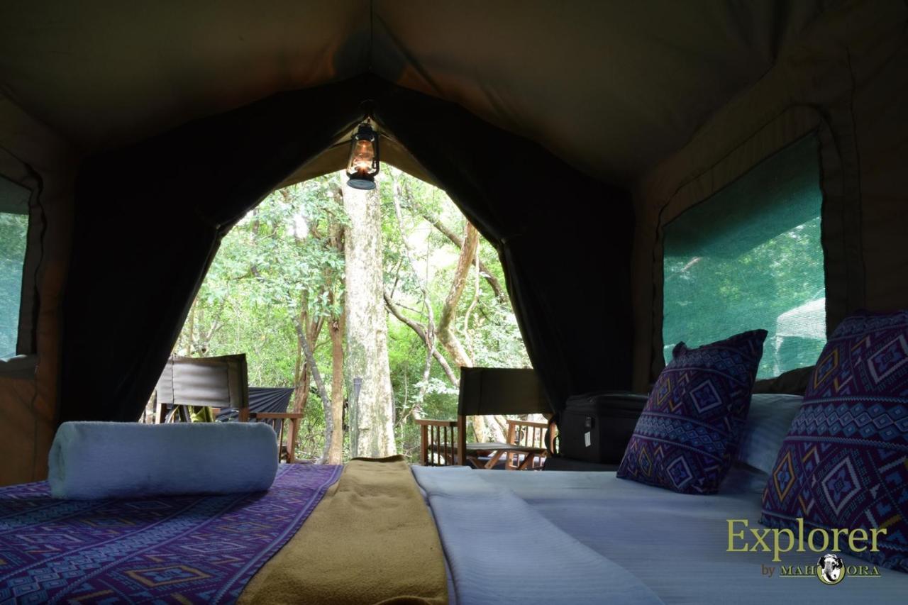 Explorer By Eco Team - Wasgamuwa National Park Esterno foto