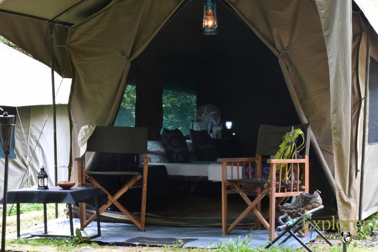 Explorer By Eco Team - Wasgamuwa National Park Esterno foto