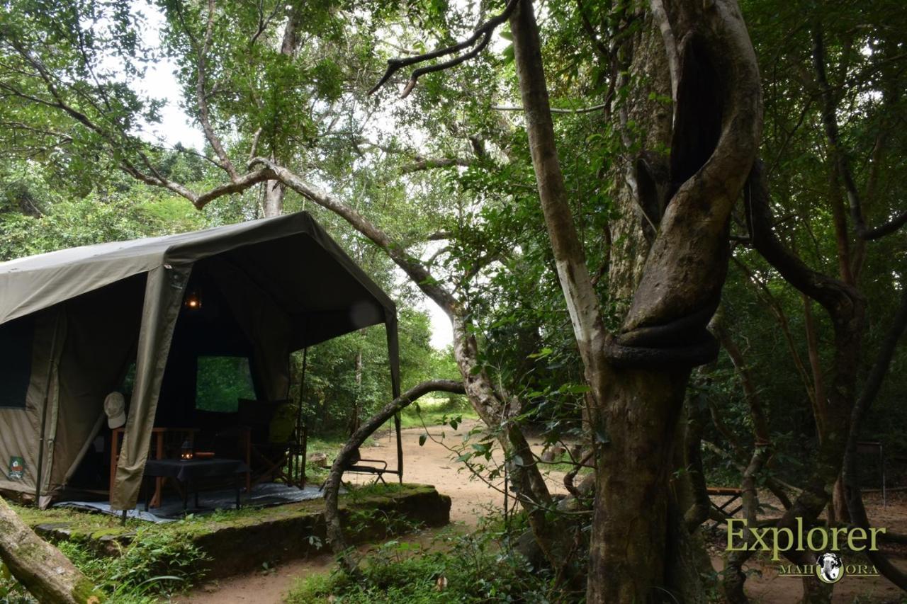 Explorer By Eco Team - Wasgamuwa National Park Esterno foto