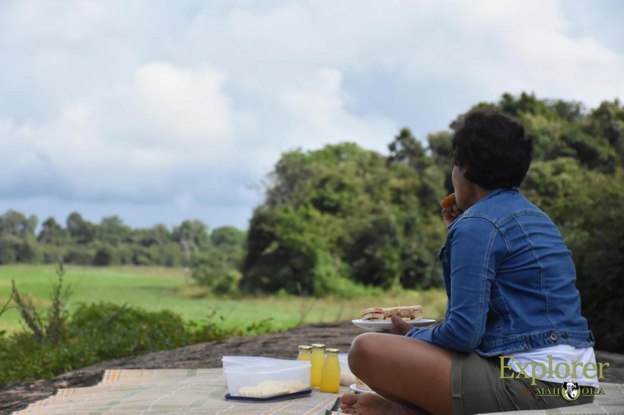 Explorer By Eco Team - Wasgamuwa National Park Esterno foto
