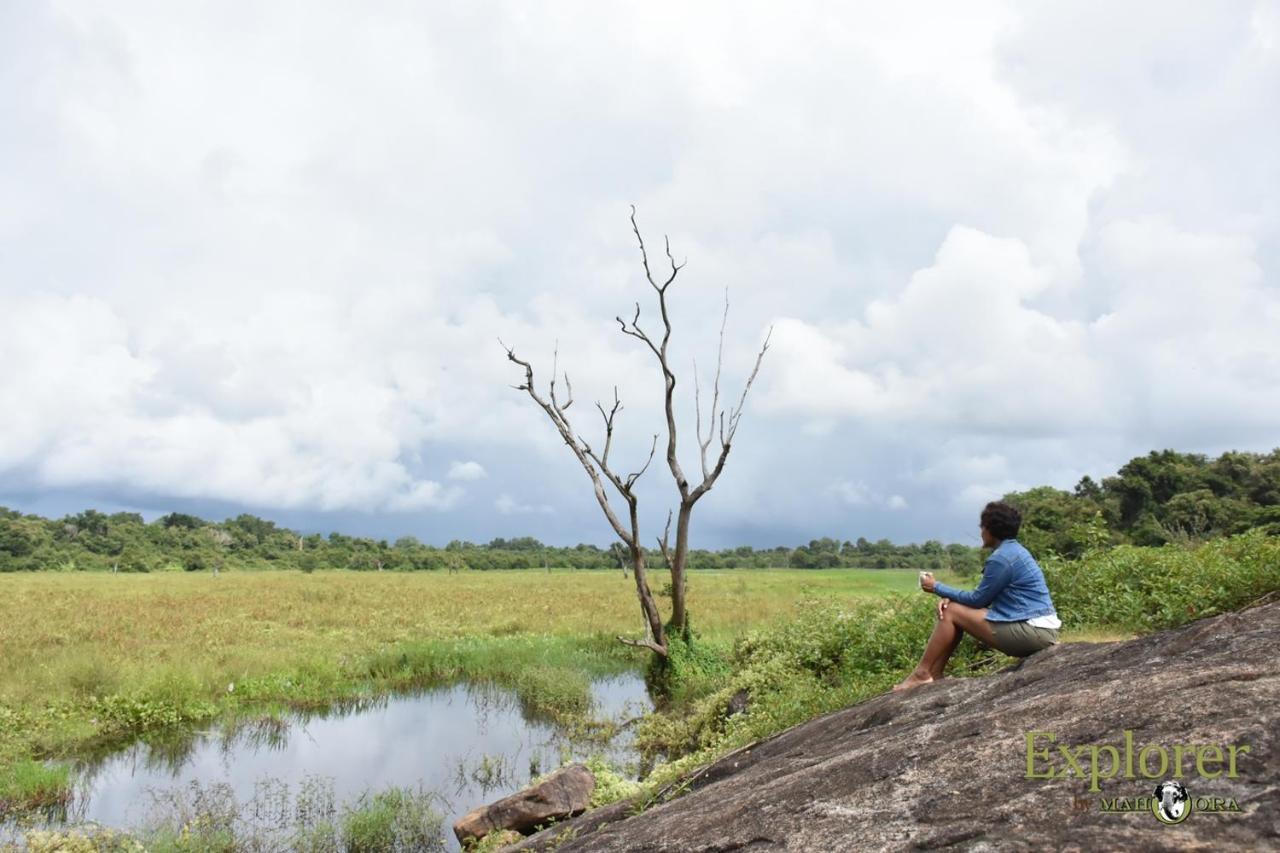 Explorer By Eco Team - Wasgamuwa National Park Esterno foto