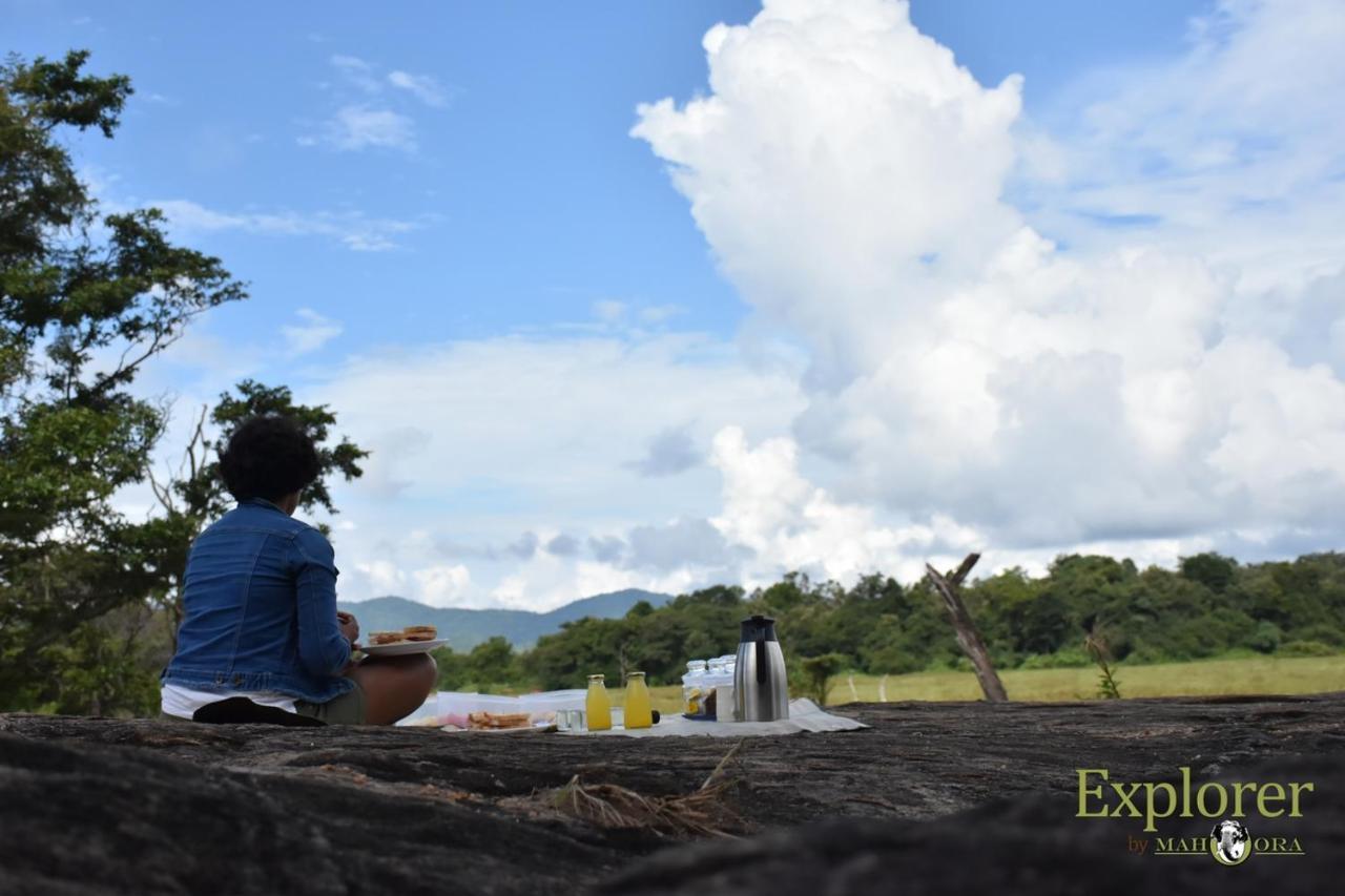 Explorer By Eco Team - Wasgamuwa National Park Esterno foto