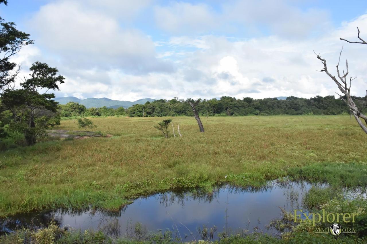 Explorer By Eco Team - Wasgamuwa National Park Esterno foto
