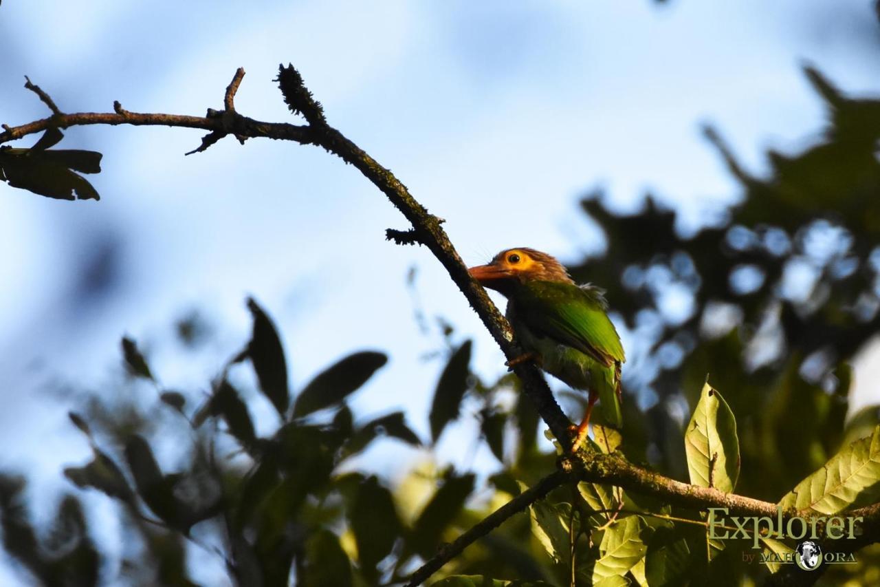 Explorer By Eco Team - Wasgamuwa National Park Esterno foto