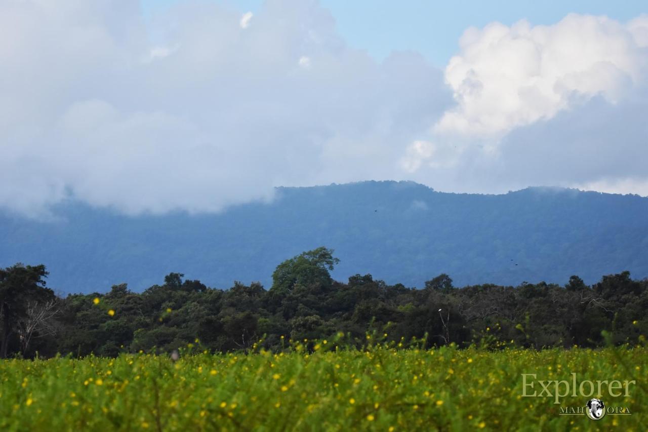 Explorer By Eco Team - Wasgamuwa National Park Esterno foto